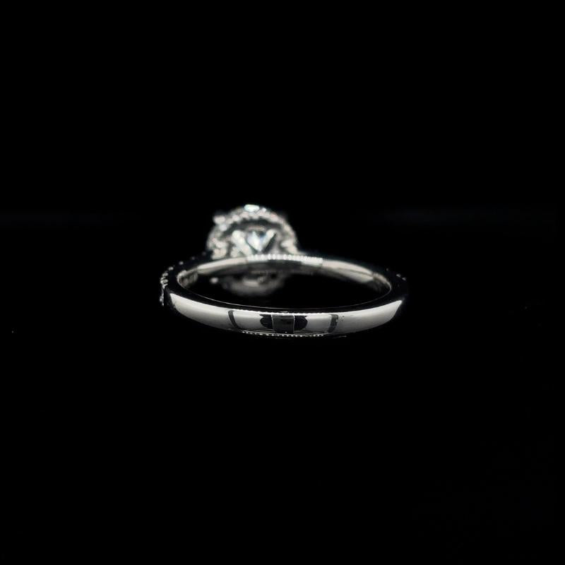 Round Lab Diamond Engagement Ring back view.